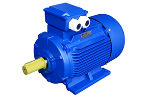 稀土永磁同步電機(jī)